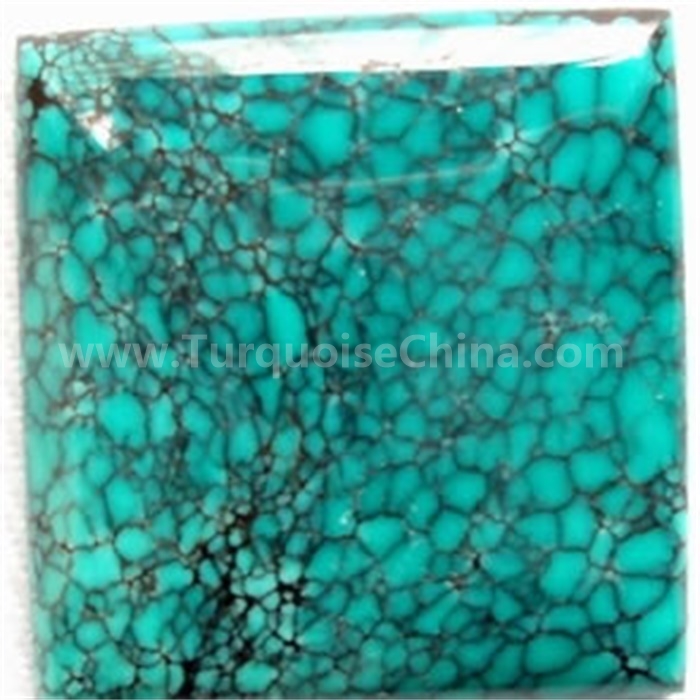 Oanpaste Spiderweb Turquoise Cabochons betroubere leverbevermarder | Zh Gems 9