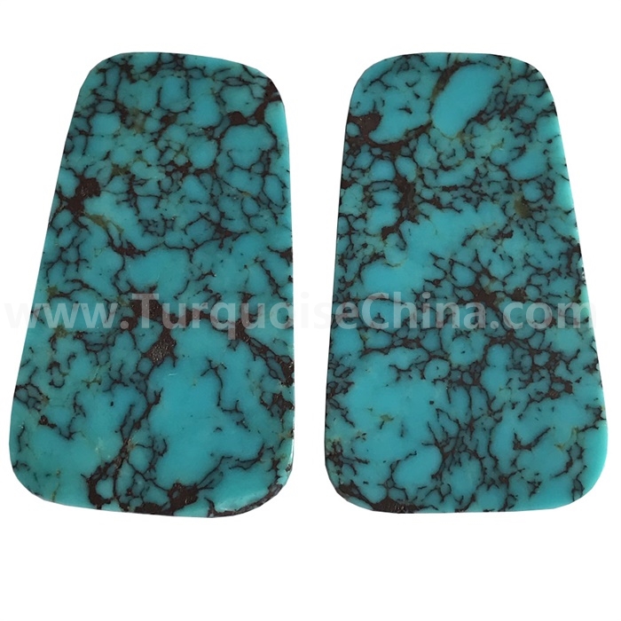 Spiderweb turquoise trapezoid Matched Pair Cabochons